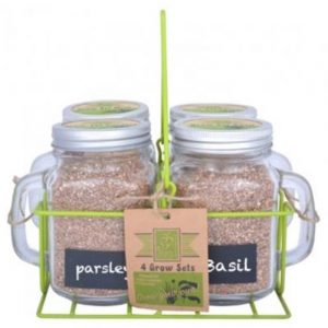 Grow Your Own Herbs Gift Set with 4 Garden Mugs and Carrier