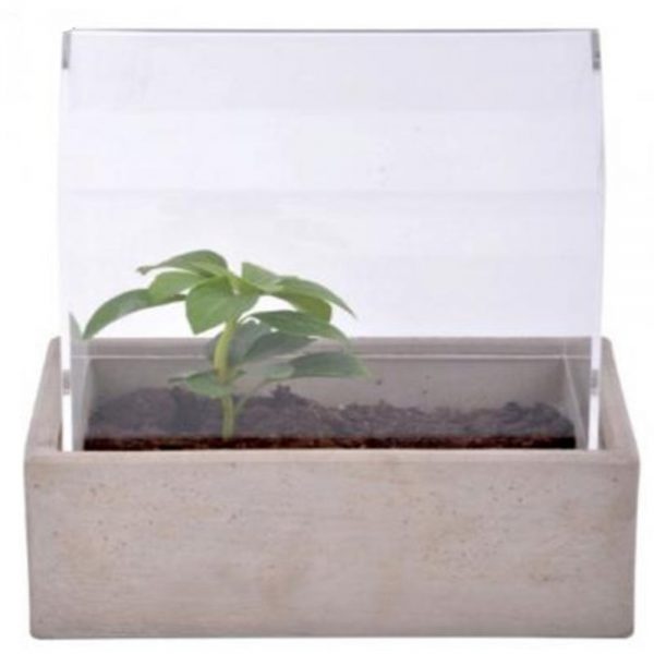 Small Tabletop Greenhouse Planter with Concrete Base