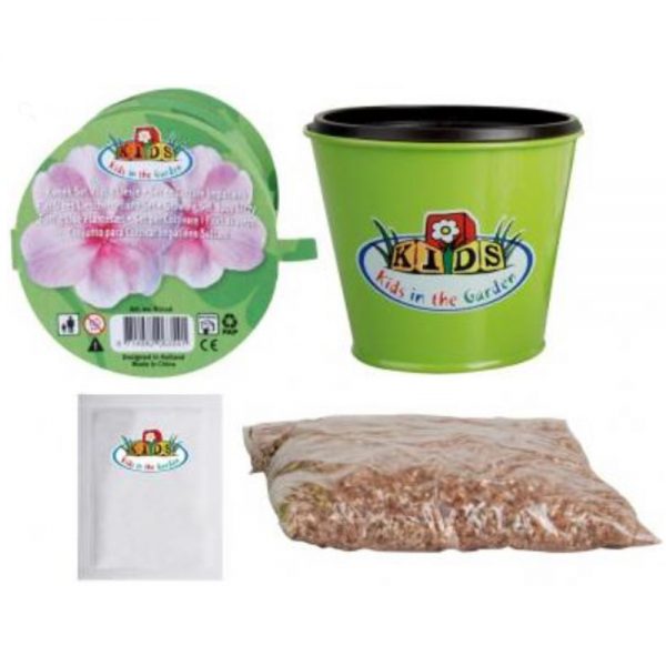 Children's Busy Lizzy Flower Grow Kit