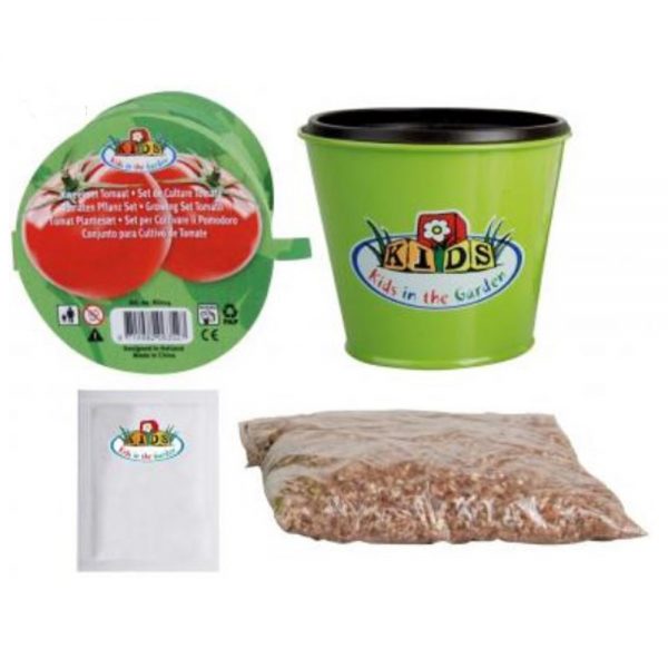 Children's Tomato Grow Kit